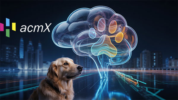 Revolucionando a Proteção Animal: O Case de Sucesso da SEMPA com a acmX.tec.br