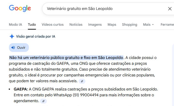 Google e Gemini colocam GAEPA – Social, Infantojuvenil, Animal, Educacional no ranking de buscas mundial sobre serviços de relevância na cidade de São Leopoldo.